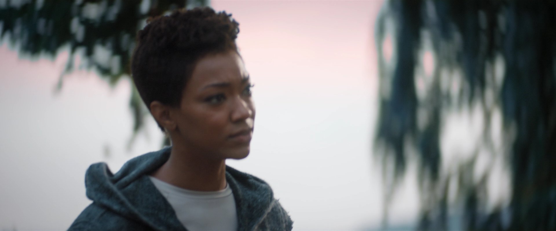 extant_StarTrekDiscovery_2x06-TheSoundsOfThunder_02453.jpg