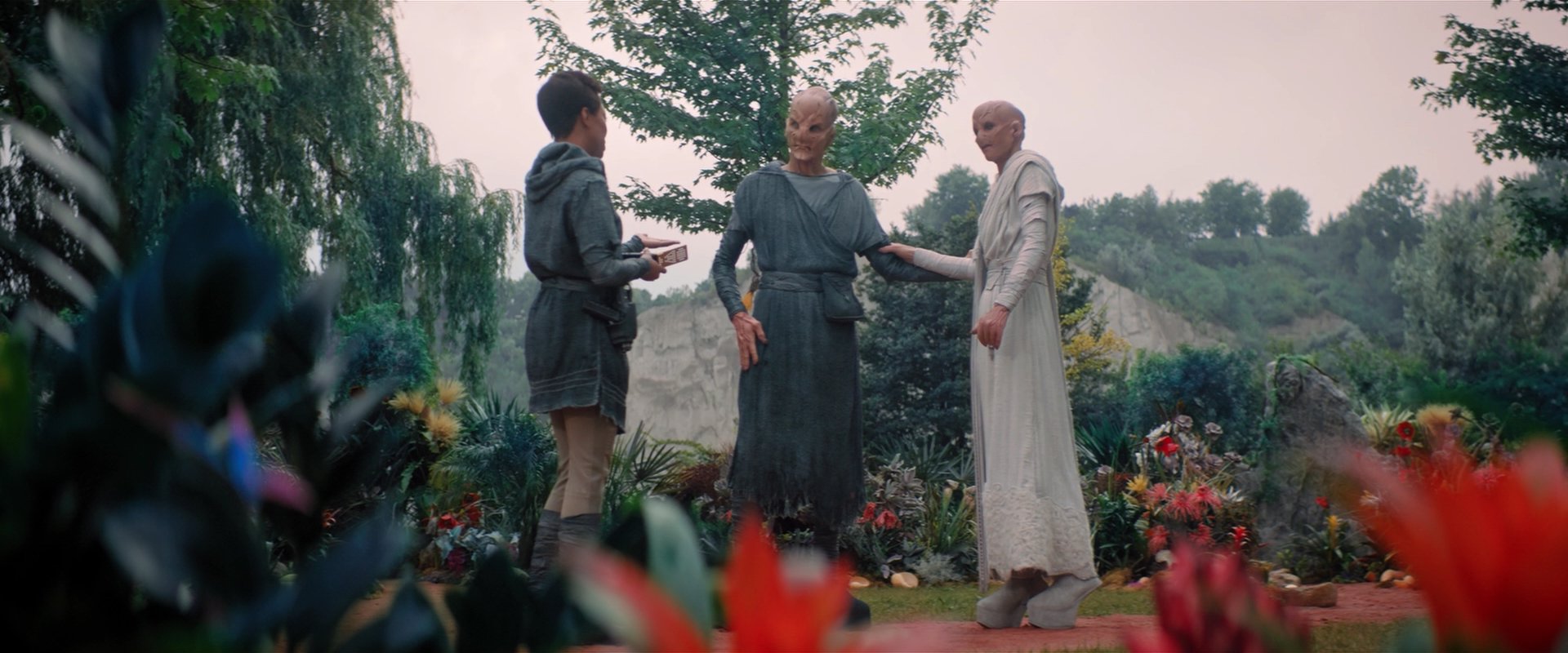 extant_StarTrekDiscovery_2x06-TheSoundsOfThunder_02462.jpg