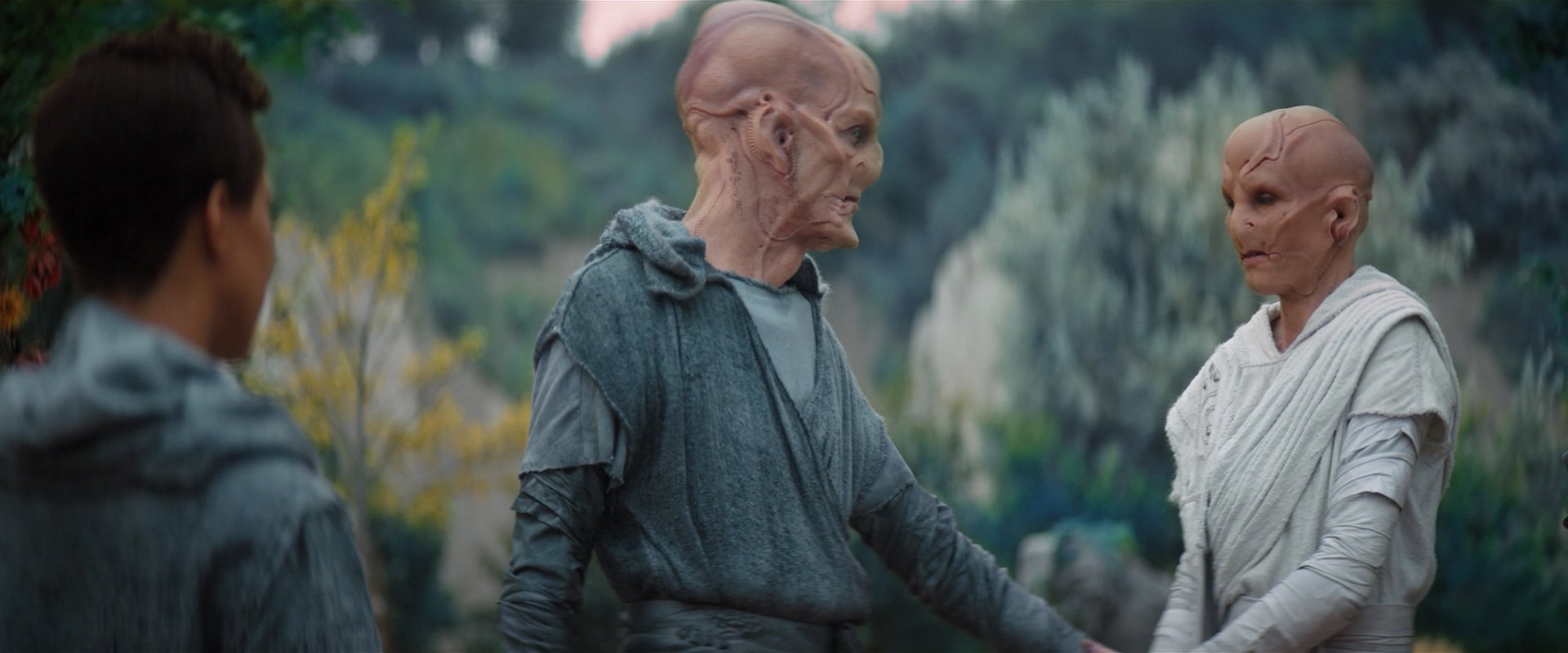 extant_StarTrekDiscovery_2x06-TheSoundsOfThunder_02470.jpg