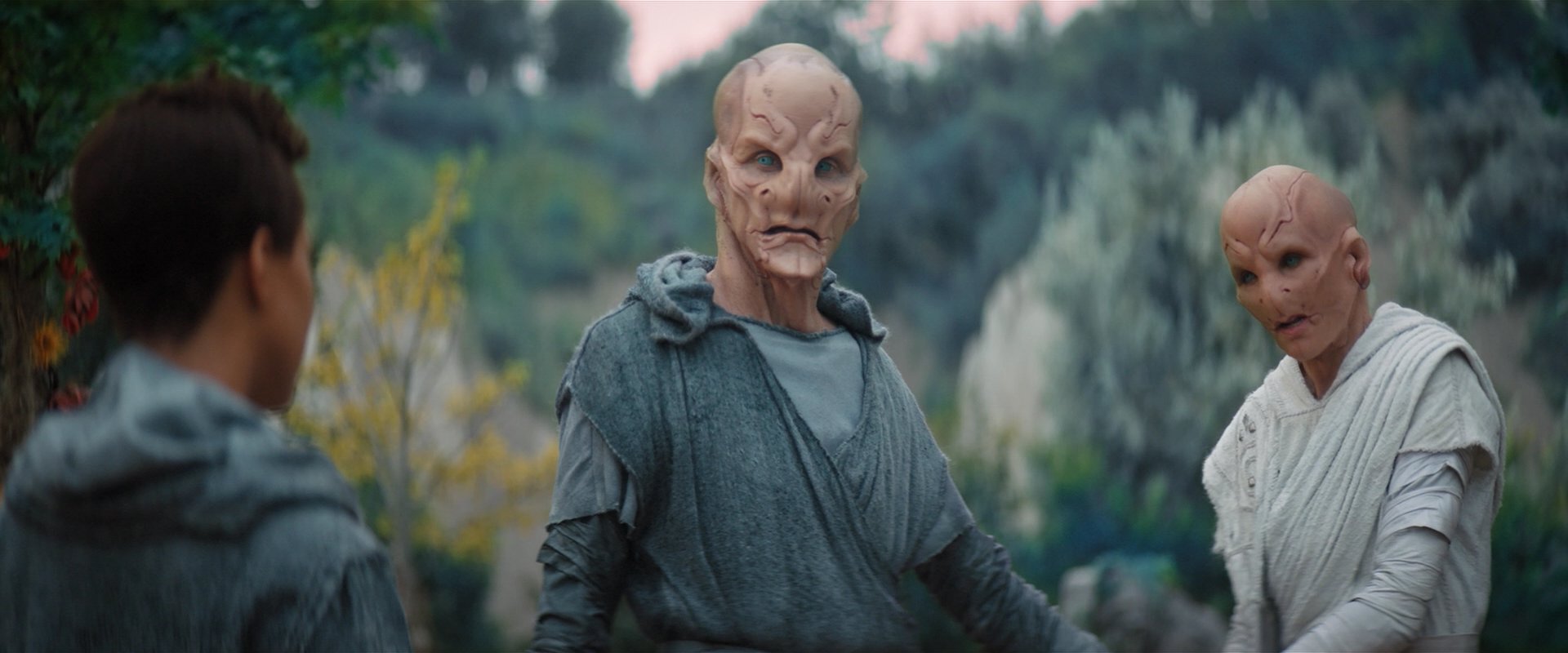 extant_StarTrekDiscovery_2x06-TheSoundsOfThunder_02474.jpg