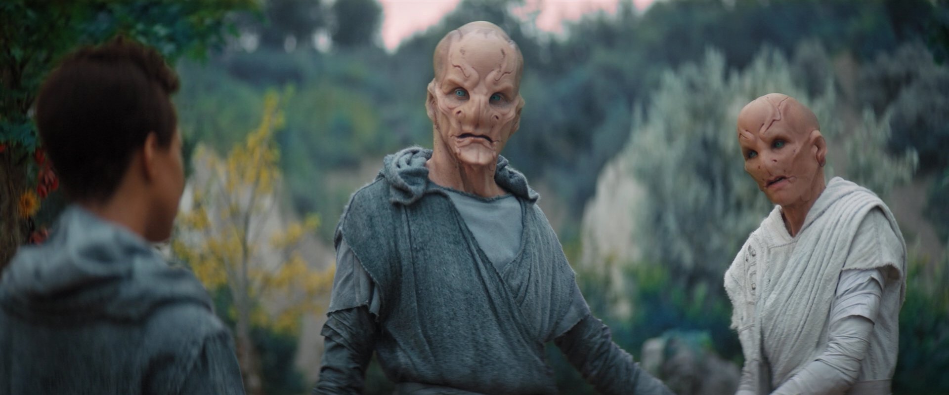 extant_StarTrekDiscovery_2x06-TheSoundsOfThunder_02475.jpg