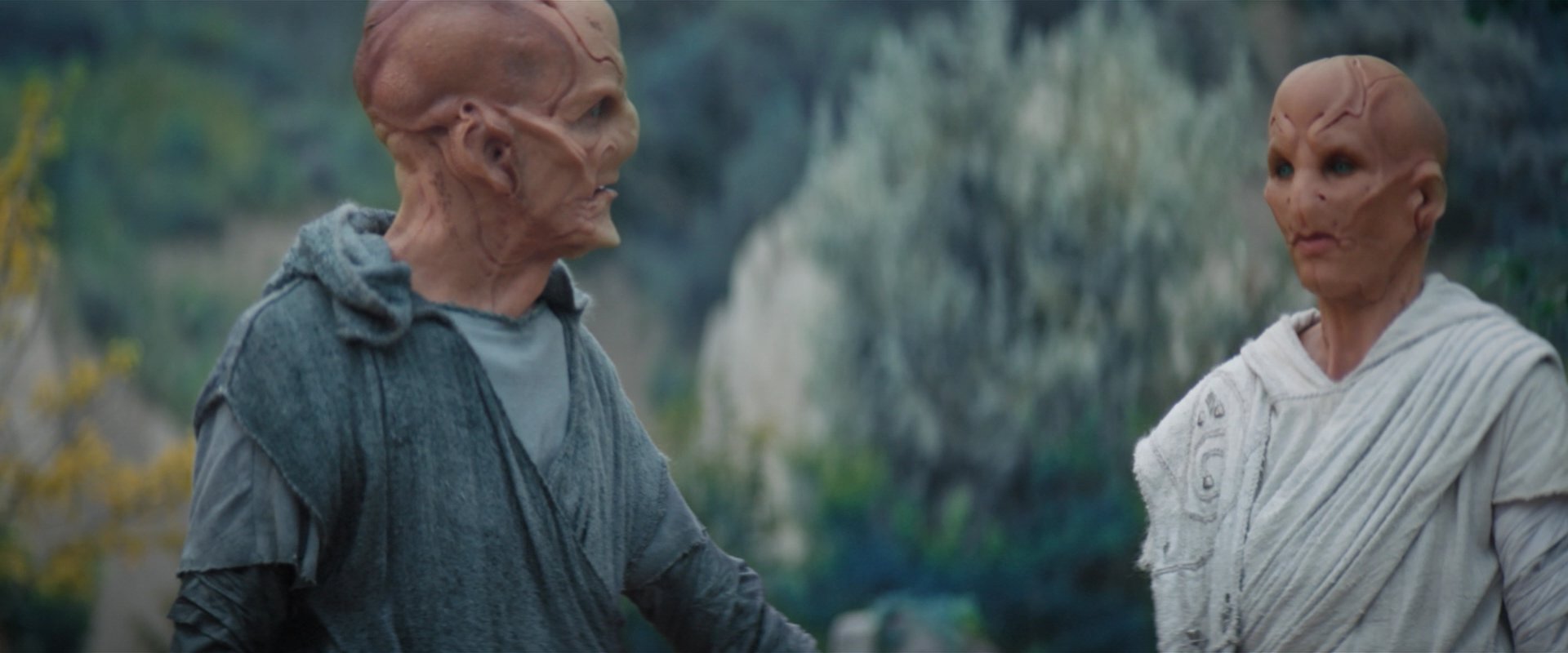 extant_StarTrekDiscovery_2x06-TheSoundsOfThunder_02486.jpg