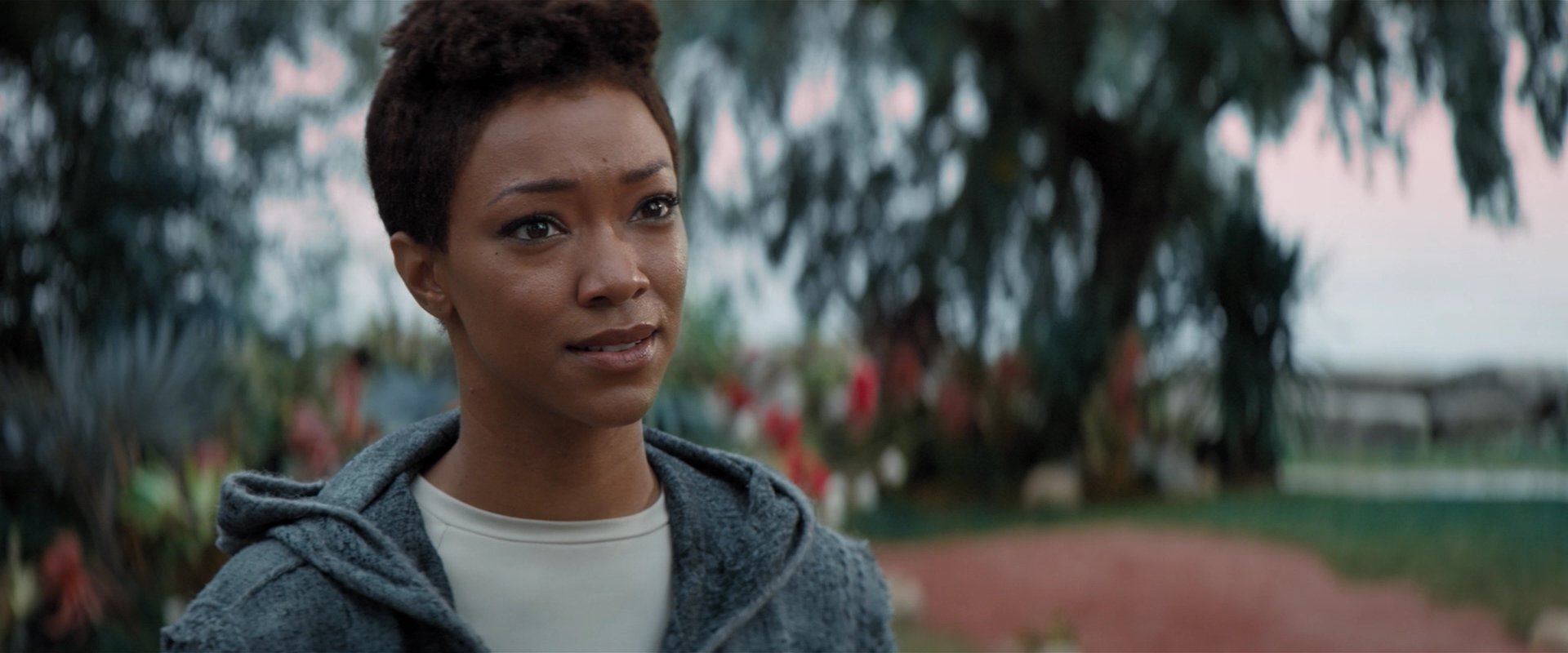 extant_StarTrekDiscovery_2x06-TheSoundsOfThunder_02512.jpg
