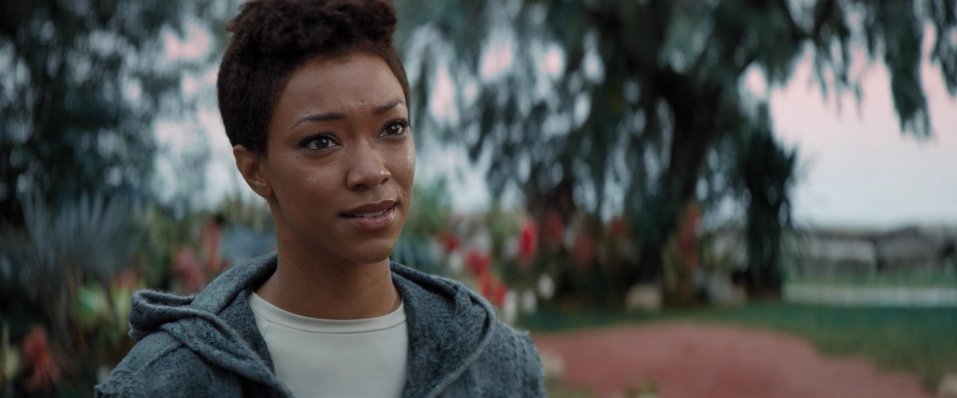 extant_StarTrekDiscovery_2x06-TheSoundsOfThunder_02513.jpg