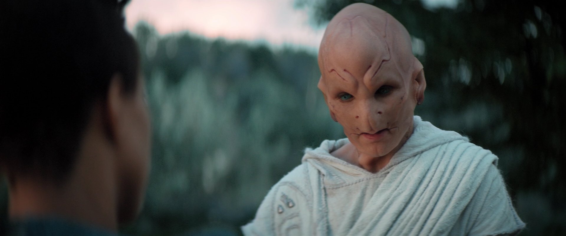 extant_StarTrekDiscovery_2x06-TheSoundsOfThunder_02522.jpg