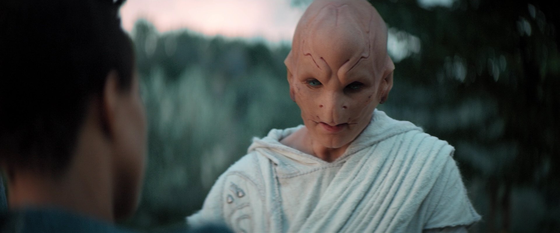 extant_StarTrekDiscovery_2x06-TheSoundsOfThunder_02523.jpg