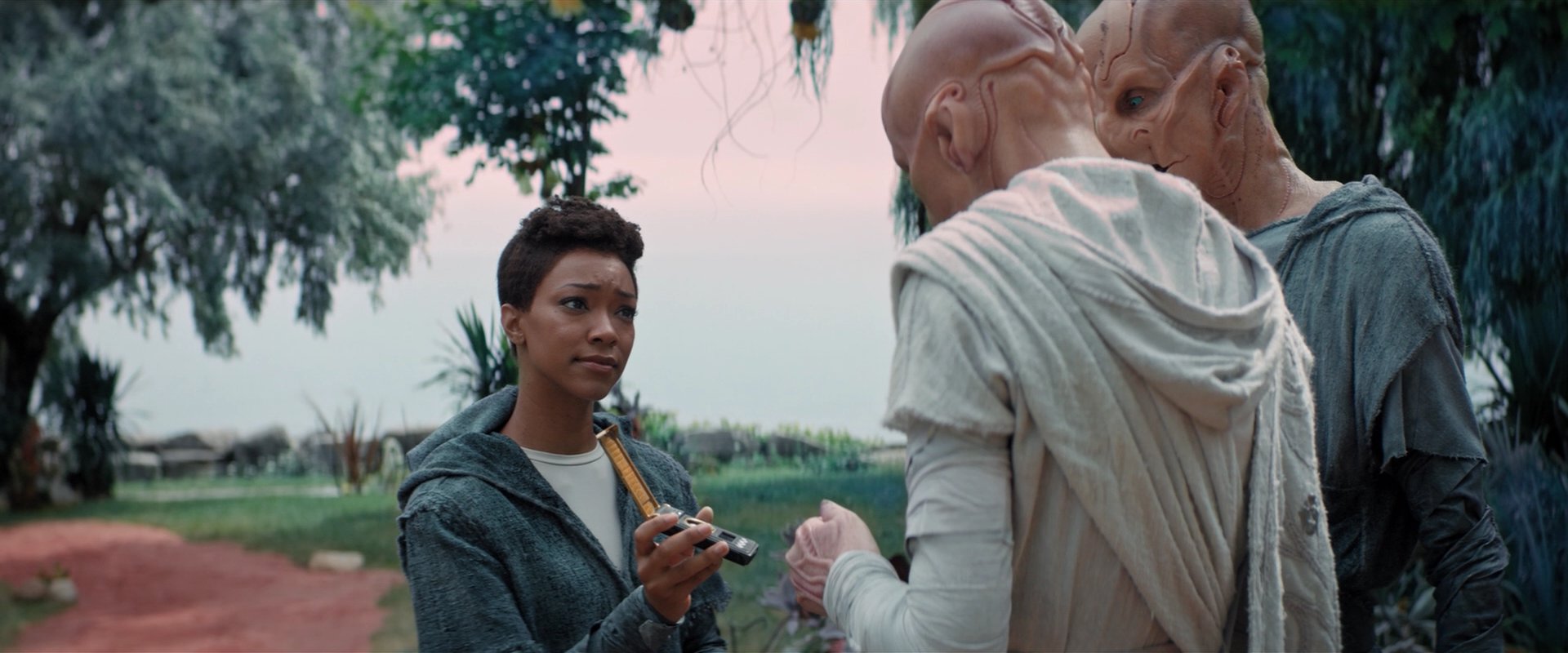 extant_StarTrekDiscovery_2x06-TheSoundsOfThunder_02528.jpg