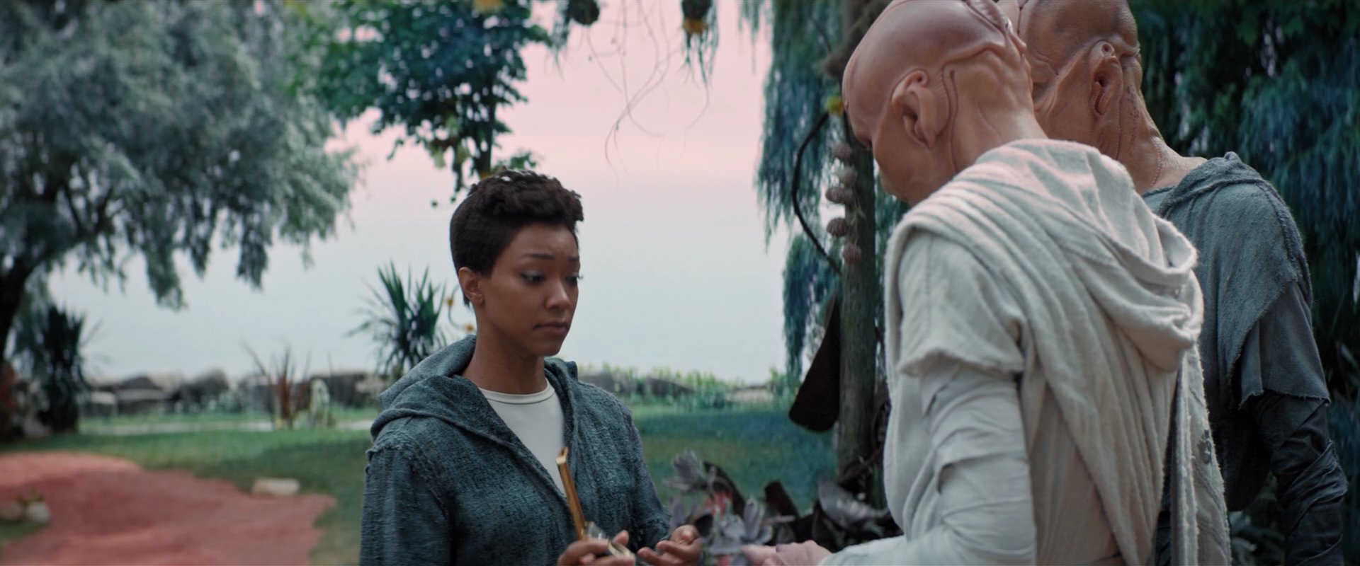 extant_StarTrekDiscovery_2x06-TheSoundsOfThunder_02530.jpg