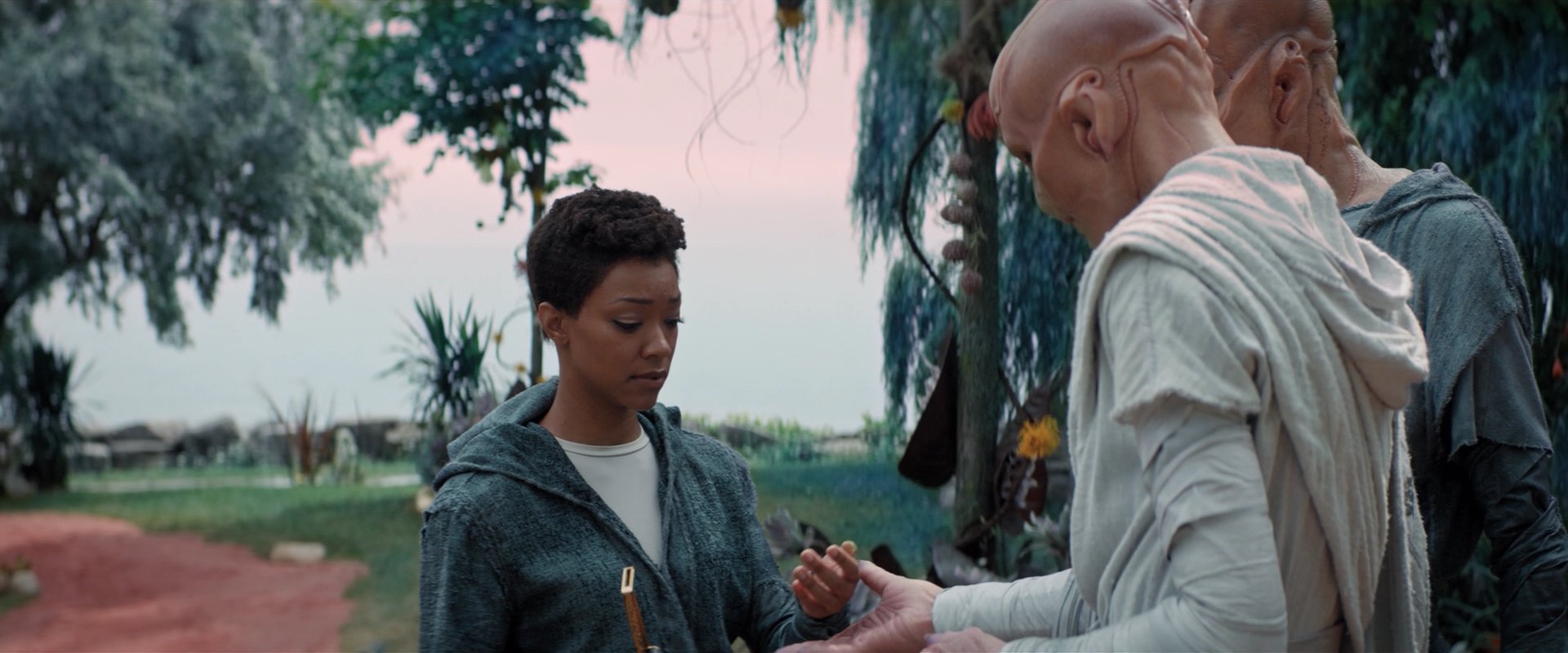 extant_StarTrekDiscovery_2x06-TheSoundsOfThunder_02531.jpg