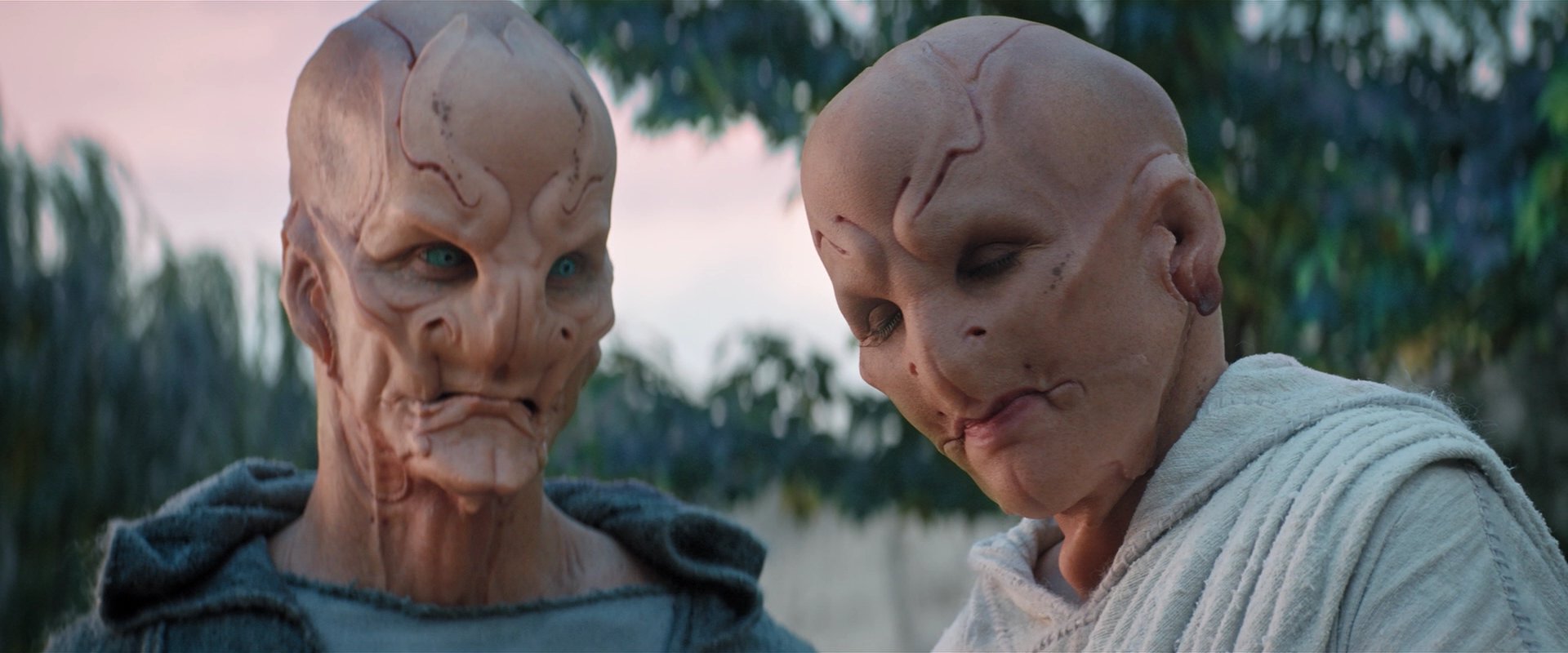 extant_StarTrekDiscovery_2x06-TheSoundsOfThunder_02567.jpg