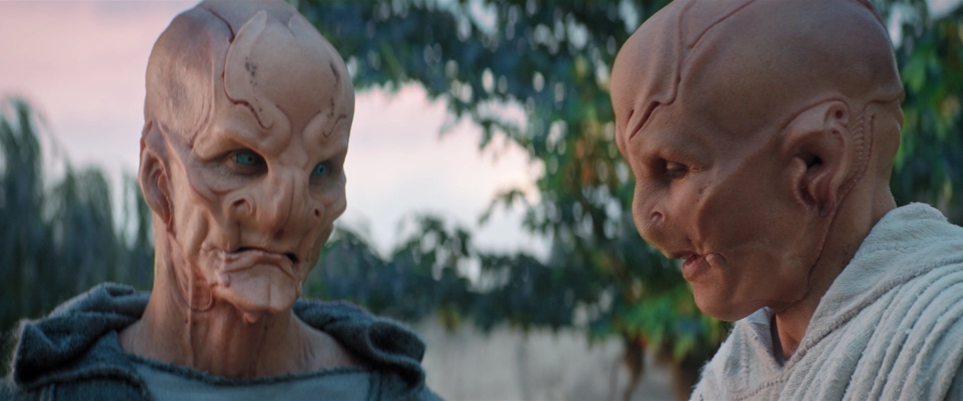 extant_StarTrekDiscovery_2x06-TheSoundsOfThunder_02572.jpg
