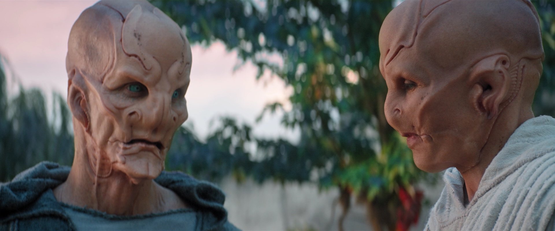 extant_StarTrekDiscovery_2x06-TheSoundsOfThunder_02573.jpg