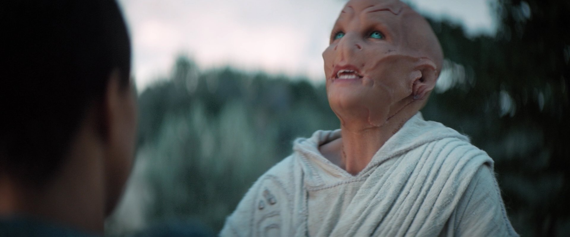 extant_StarTrekDiscovery_2x06-TheSoundsOfThunder_02575.jpg