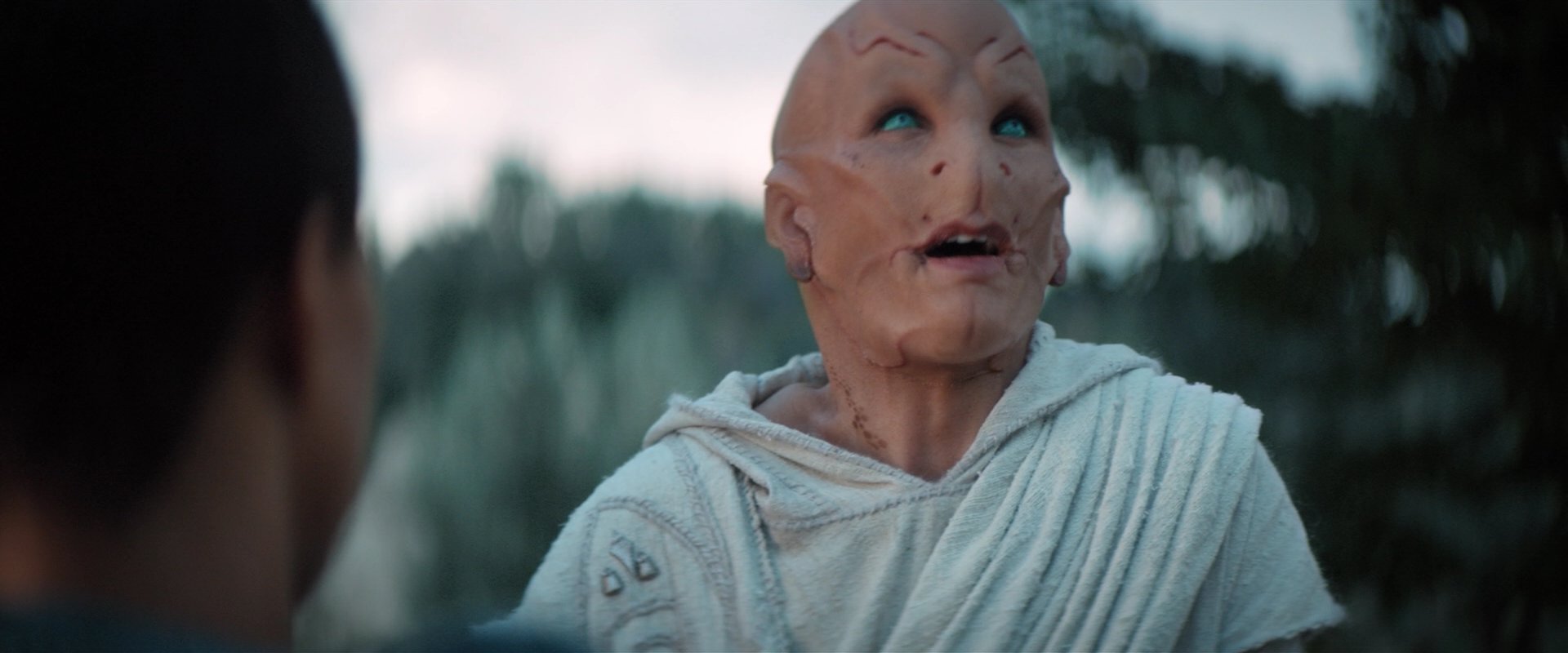 extant_StarTrekDiscovery_2x06-TheSoundsOfThunder_02576.jpg