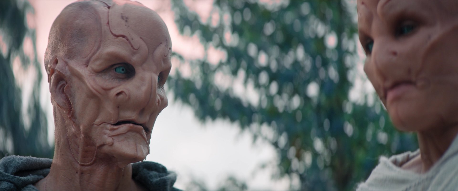extant_StarTrekDiscovery_2x06-TheSoundsOfThunder_02581.jpg
