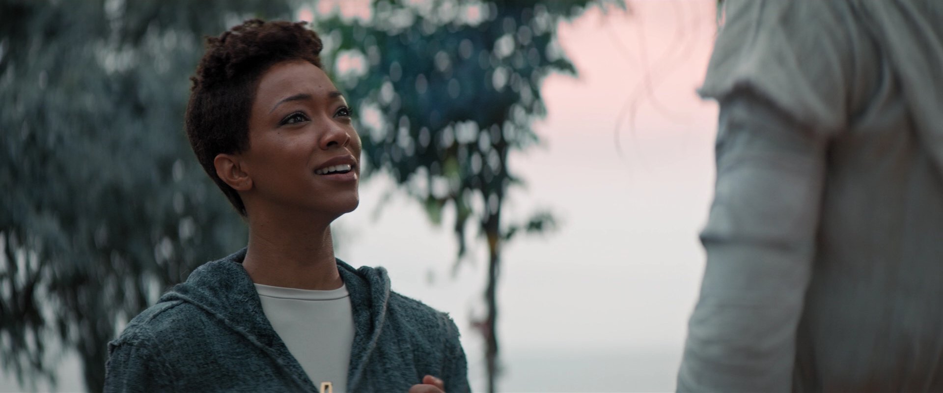 extant_StarTrekDiscovery_2x06-TheSoundsOfThunder_02595.jpg