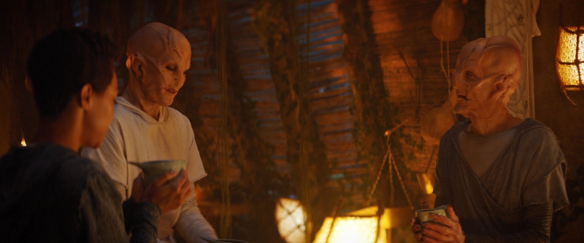 extant_StarTrekDiscovery_2x06-TheSoundsOfThunder_02627.jpg