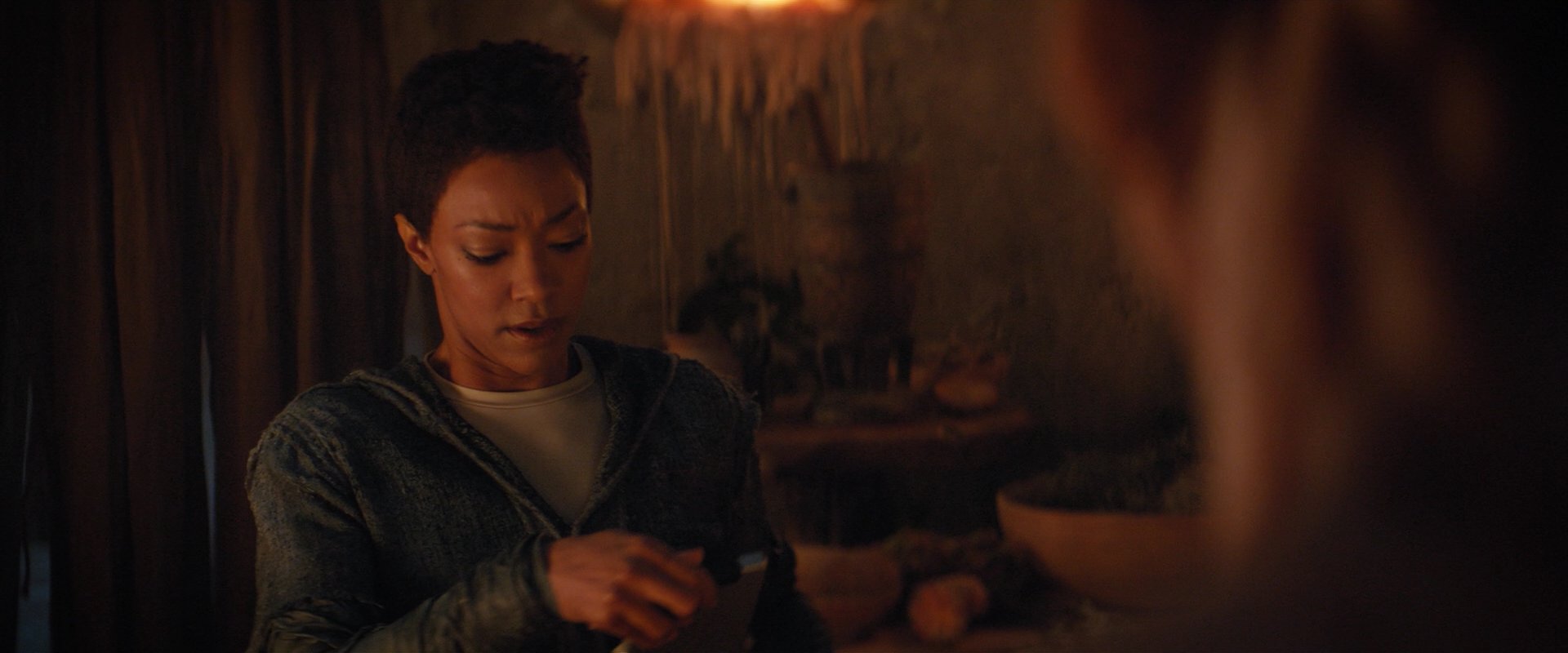 extant_StarTrekDiscovery_2x06-TheSoundsOfThunder_02752.jpg