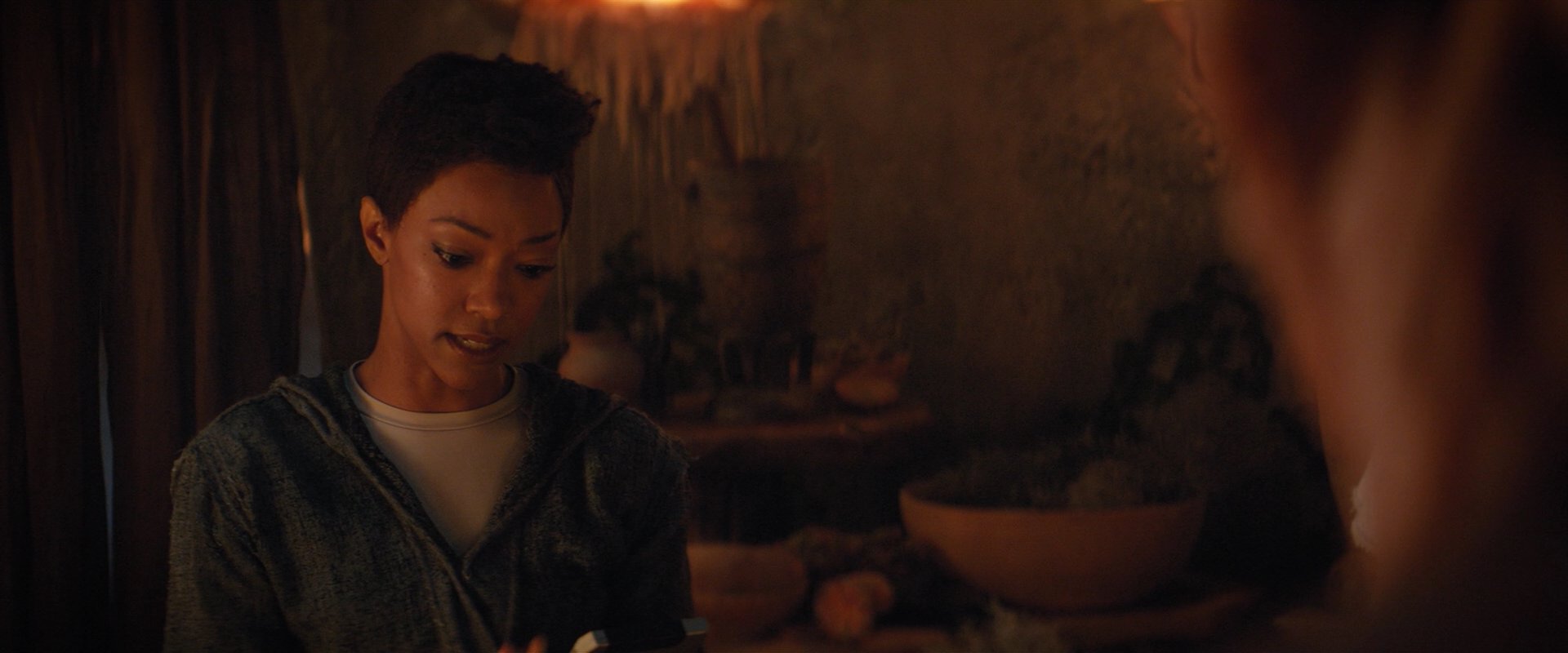 extant_StarTrekDiscovery_2x06-TheSoundsOfThunder_02758.jpg