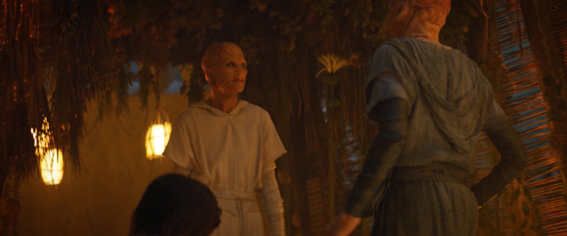 extant_StarTrekDiscovery_2x06-TheSoundsOfThunder_02852.jpg