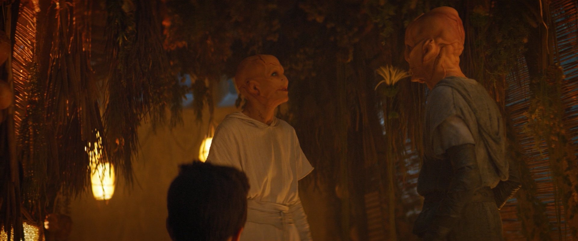 extant_StarTrekDiscovery_2x06-TheSoundsOfThunder_02854.jpg