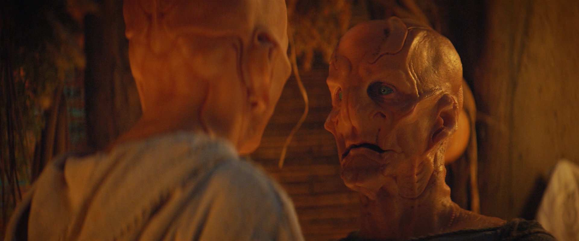 extant_StarTrekDiscovery_2x06-TheSoundsOfThunder_02865.jpg
