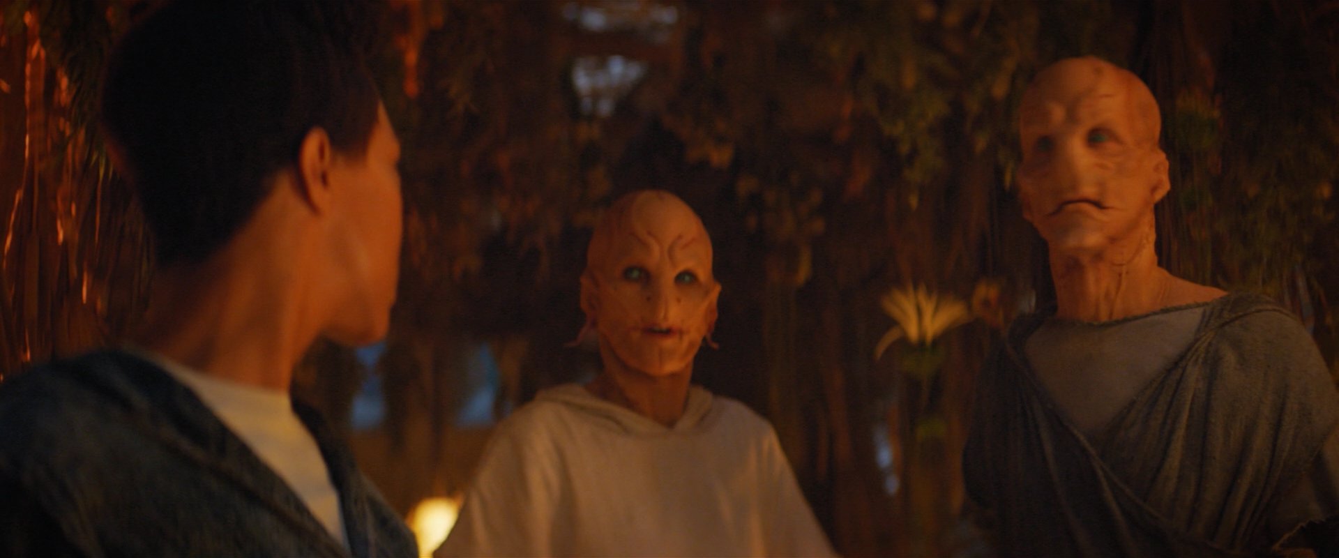 extant_StarTrekDiscovery_2x06-TheSoundsOfThunder_02895.jpg