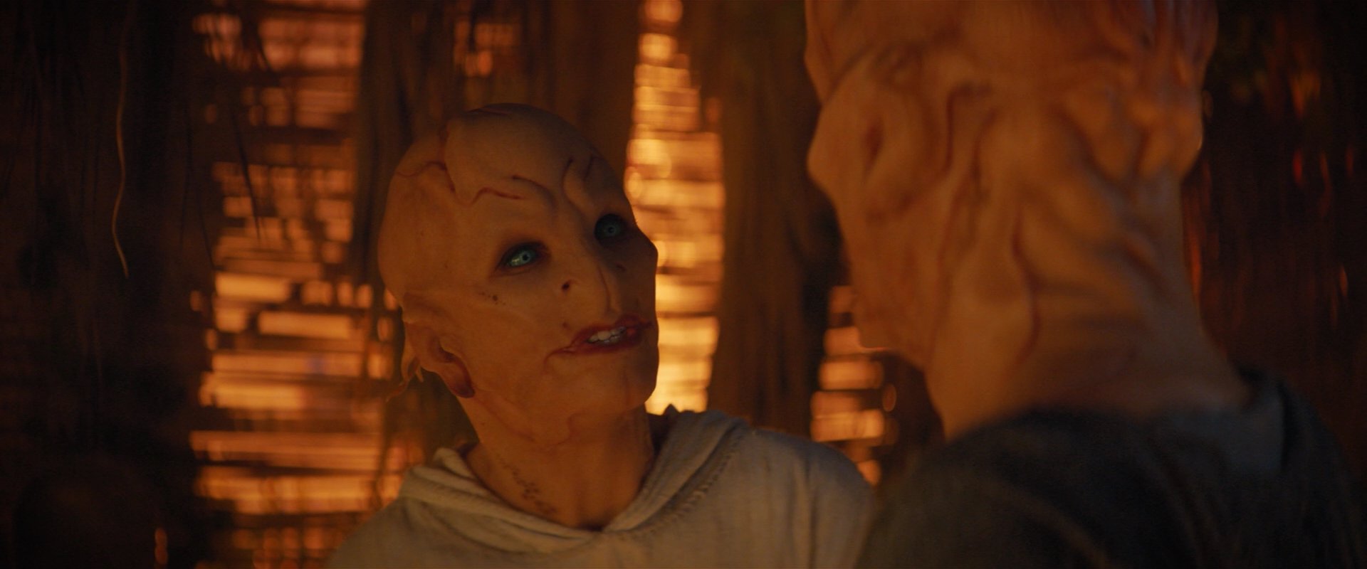 extant_StarTrekDiscovery_2x06-TheSoundsOfThunder_02899.jpg