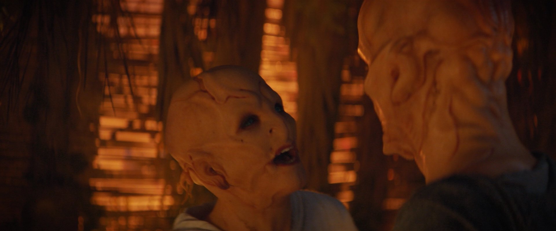 extant_StarTrekDiscovery_2x06-TheSoundsOfThunder_02902.jpg