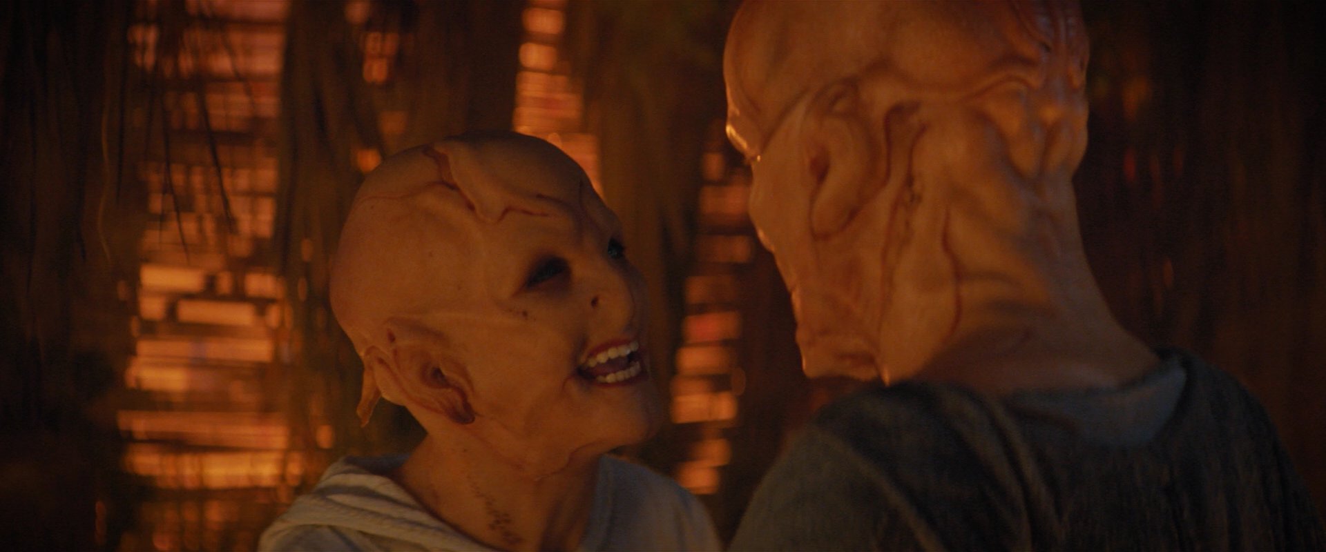 extant_StarTrekDiscovery_2x06-TheSoundsOfThunder_02904.jpg