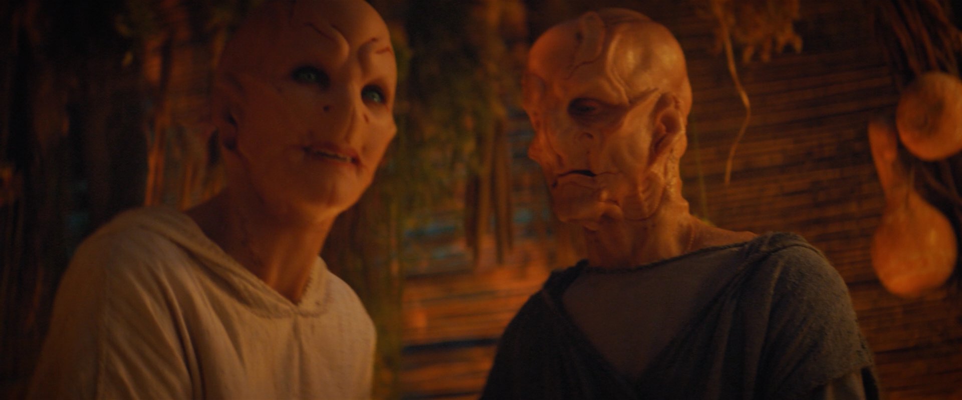 extant_StarTrekDiscovery_2x06-TheSoundsOfThunder_02907.jpg