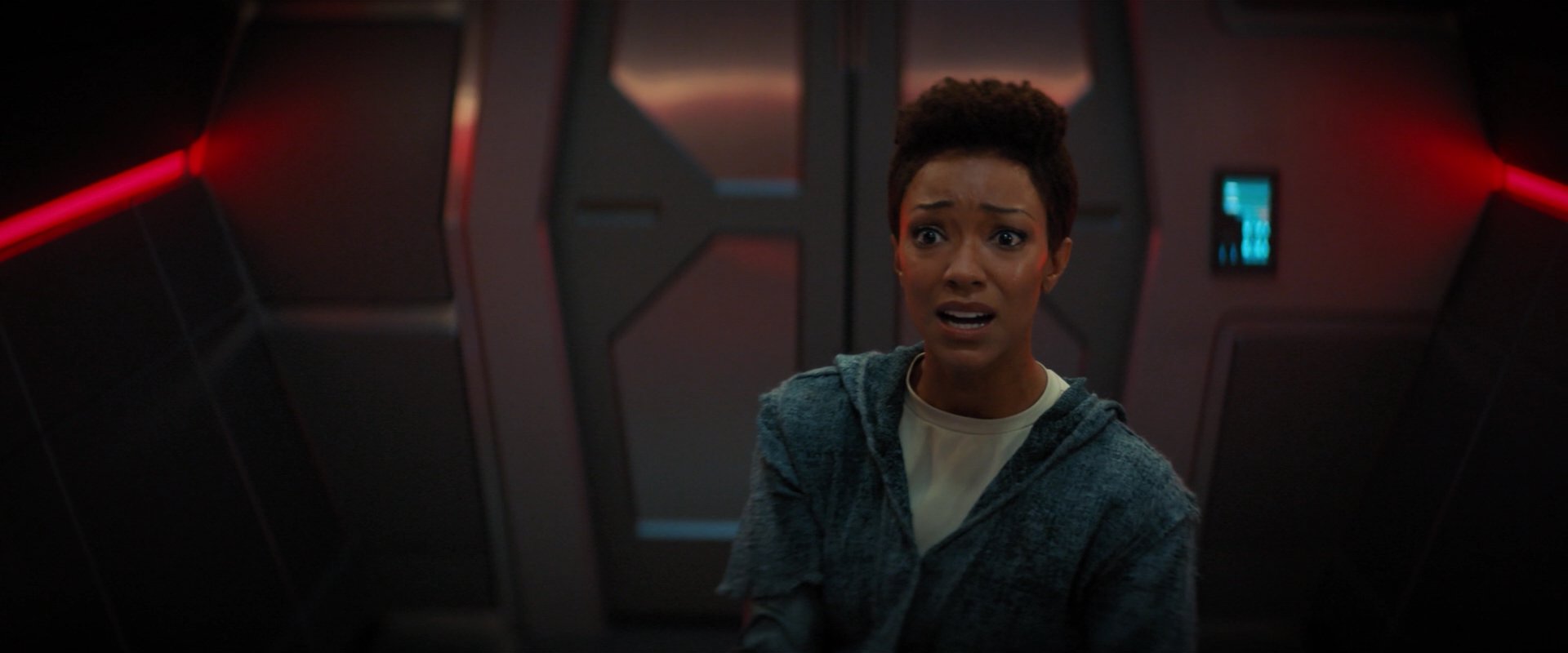 extant_StarTrekDiscovery_2x06-TheSoundsOfThunder_03585.jpg