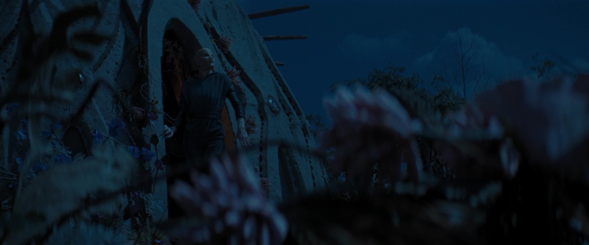 extant_StarTrekDiscovery_2x06-TheSoundsOfThunder_03919.jpg