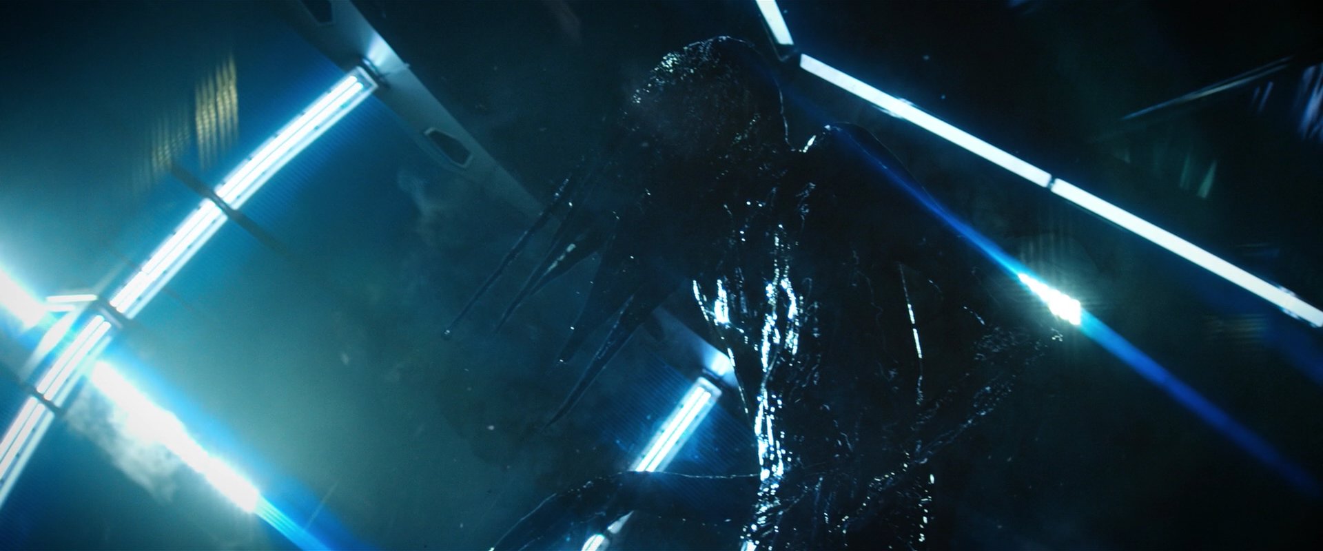 extant_StarTrekDiscovery_2x06-TheSoundsOfThunder_04266.jpg