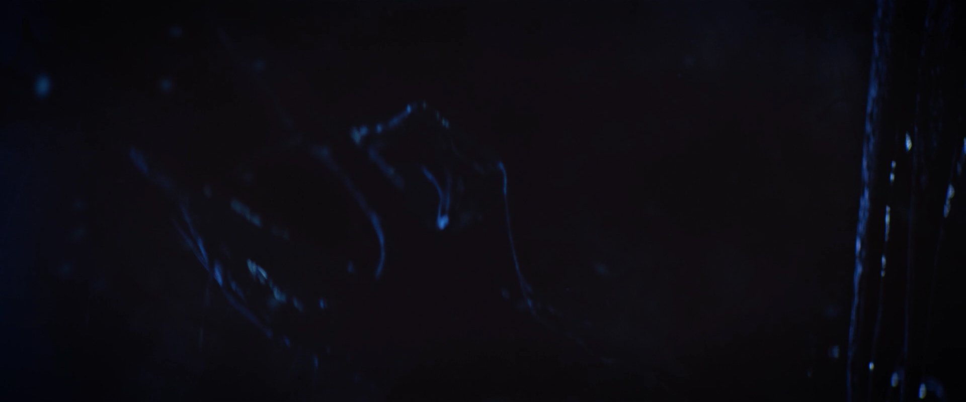 extant_StarTrekDiscovery_2x06-TheSoundsOfThunder_04337.jpg