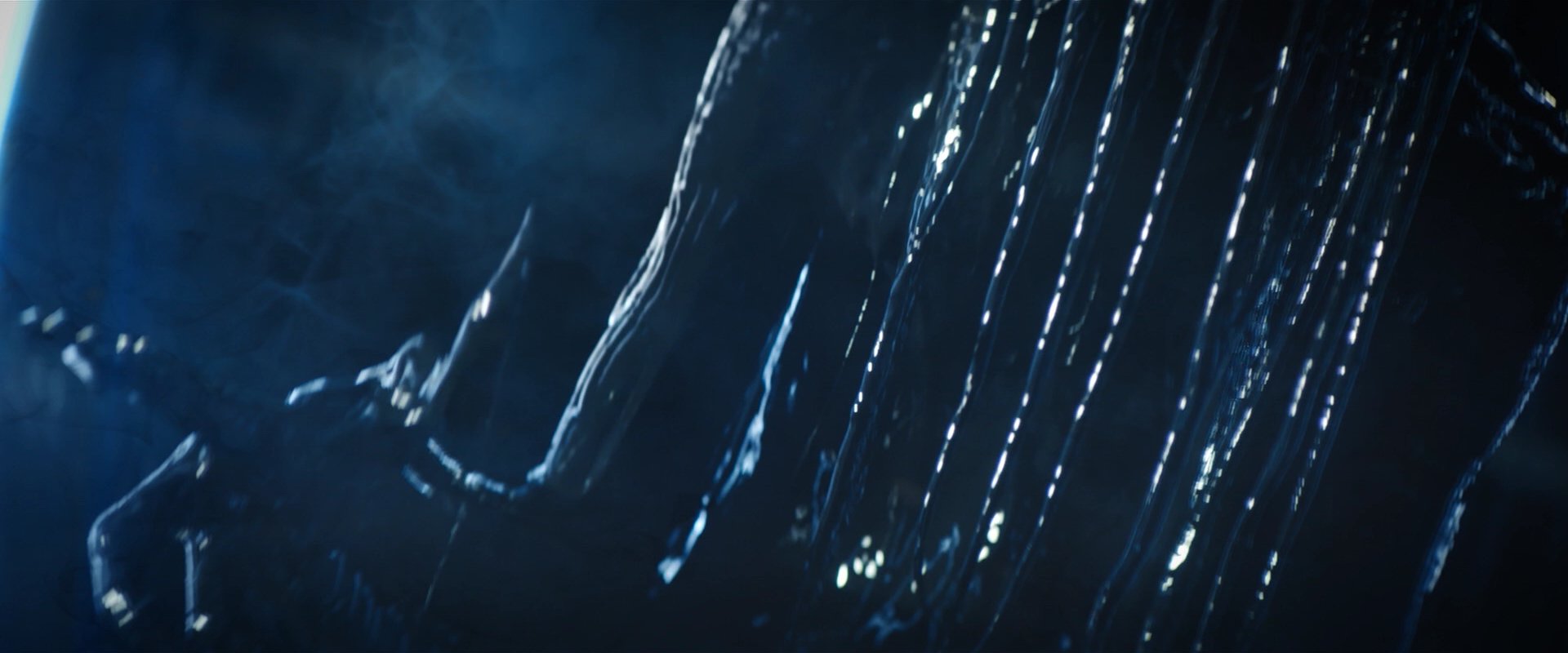 extant_StarTrekDiscovery_2x06-TheSoundsOfThunder_04341.jpg