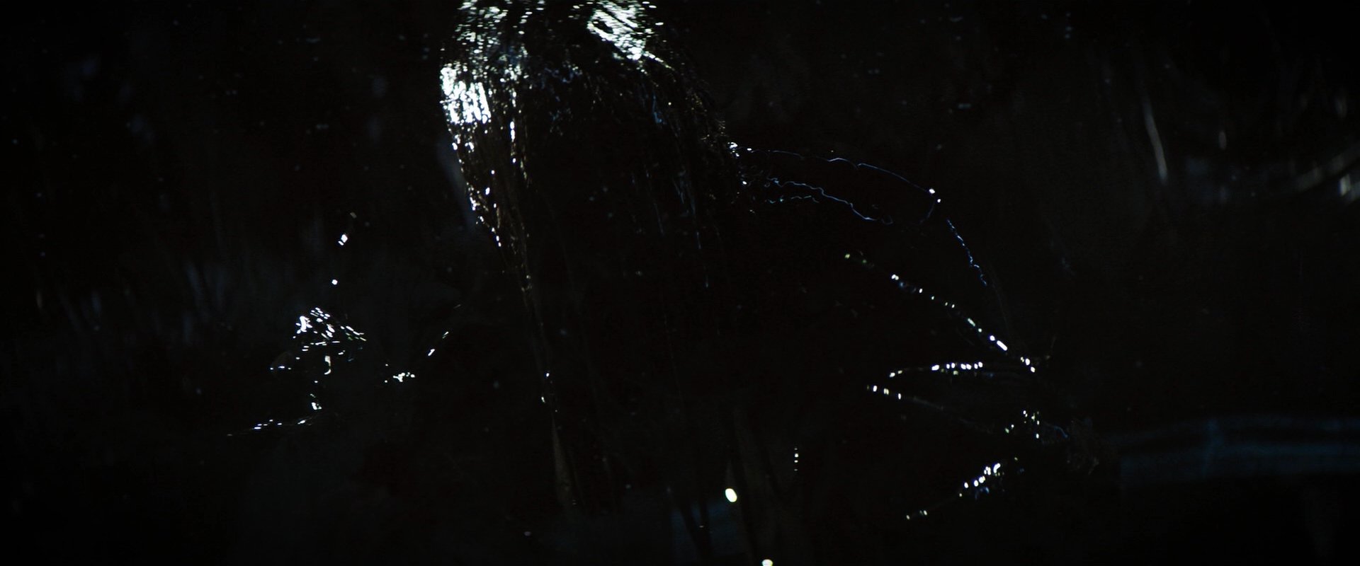 extant_StarTrekDiscovery_2x06-TheSoundsOfThunder_04415.jpg