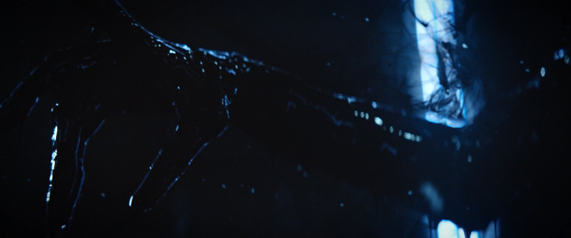 extant_StarTrekDiscovery_2x06-TheSoundsOfThunder_04418.jpg