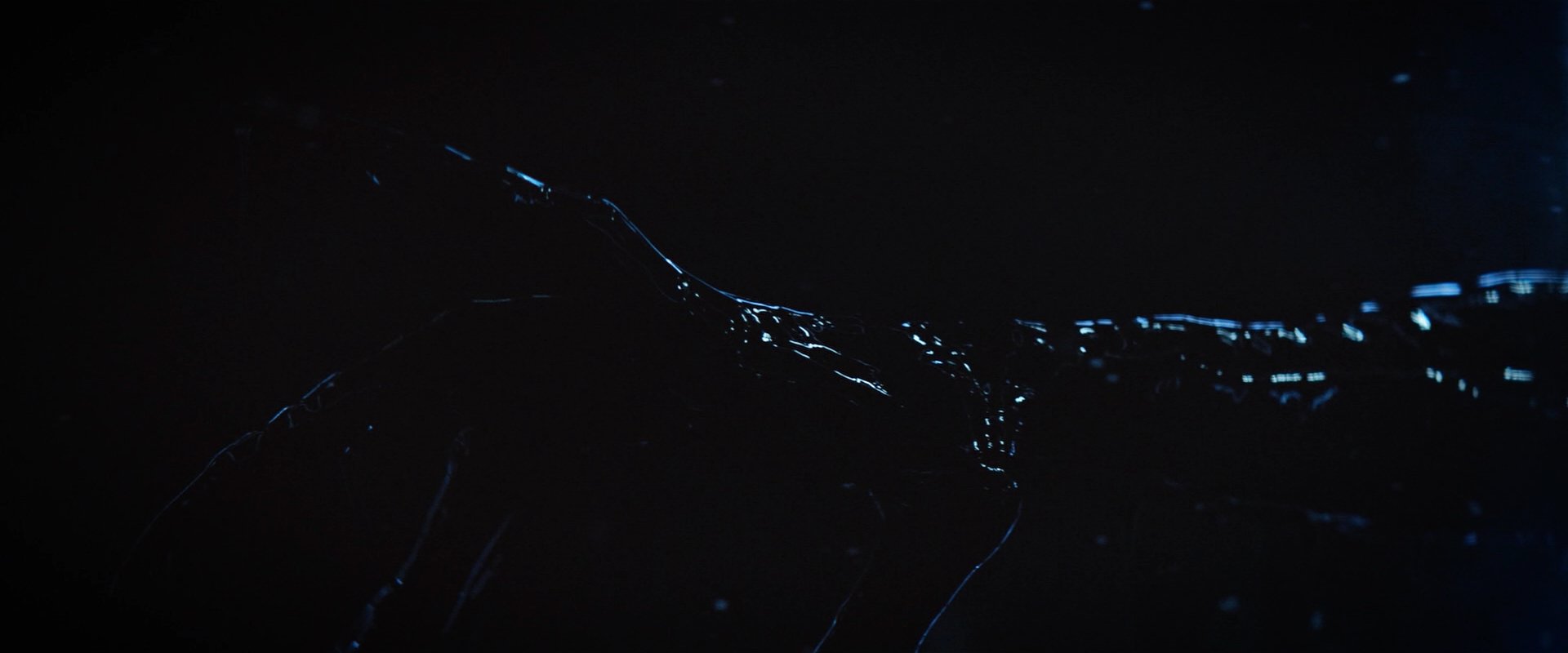 extant_StarTrekDiscovery_2x06-TheSoundsOfThunder_04420.jpg