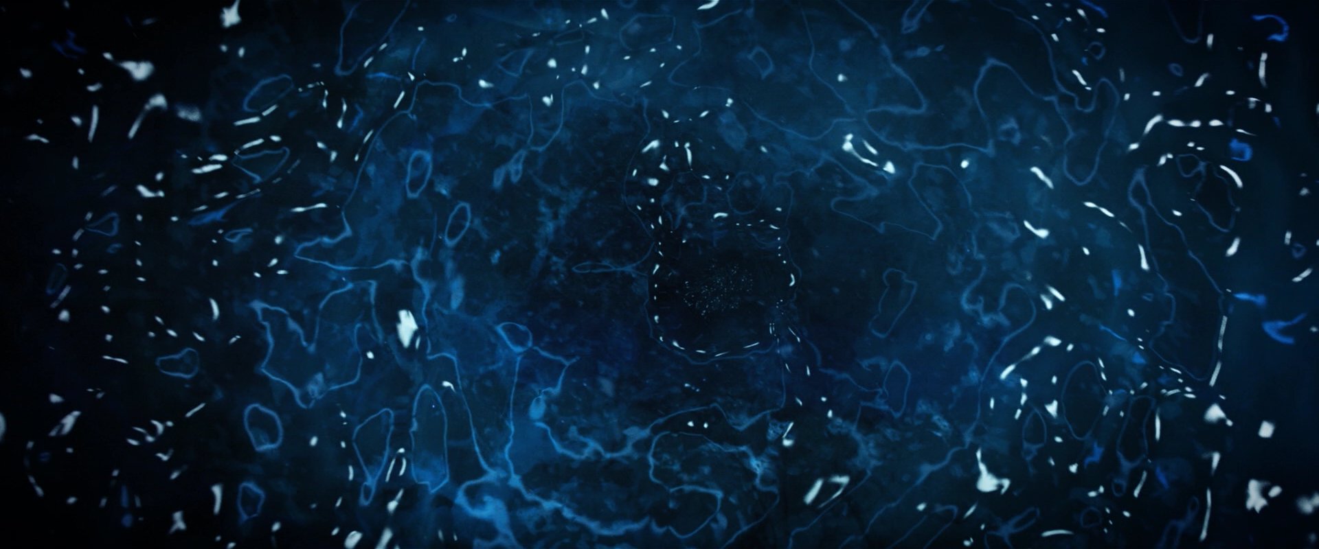 extant_StarTrekDiscovery_2x06-TheSoundsOfThunder_04469.jpg