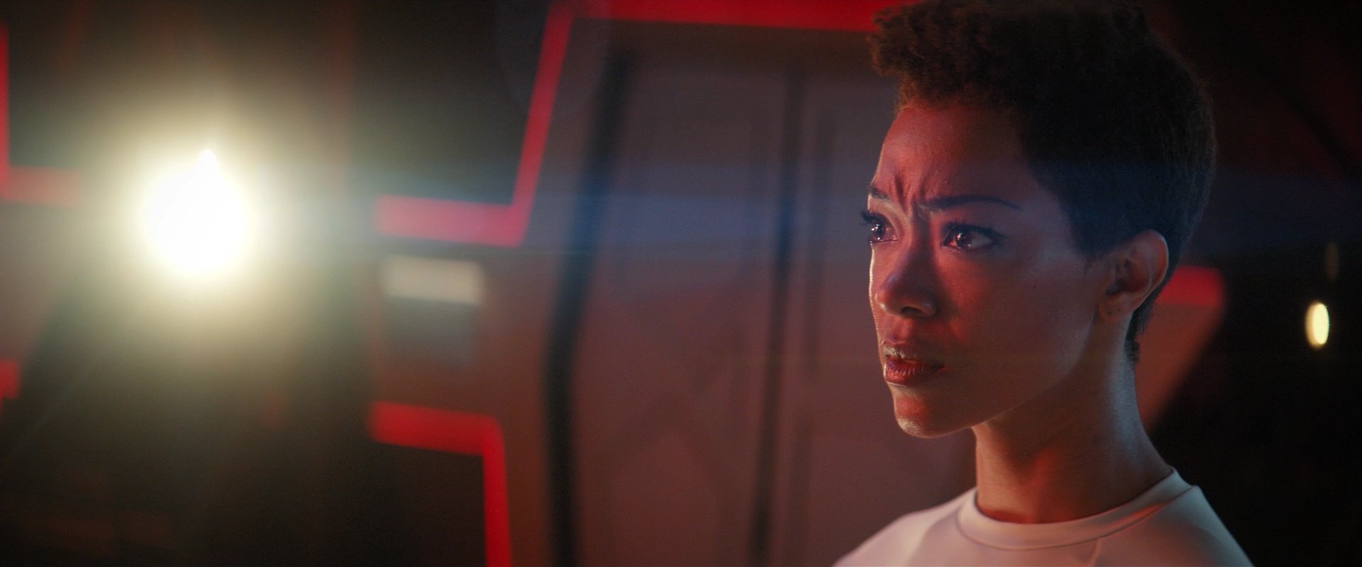 extant_StarTrekDiscovery_2x06-TheSoundsOfThunder_05445.jpg