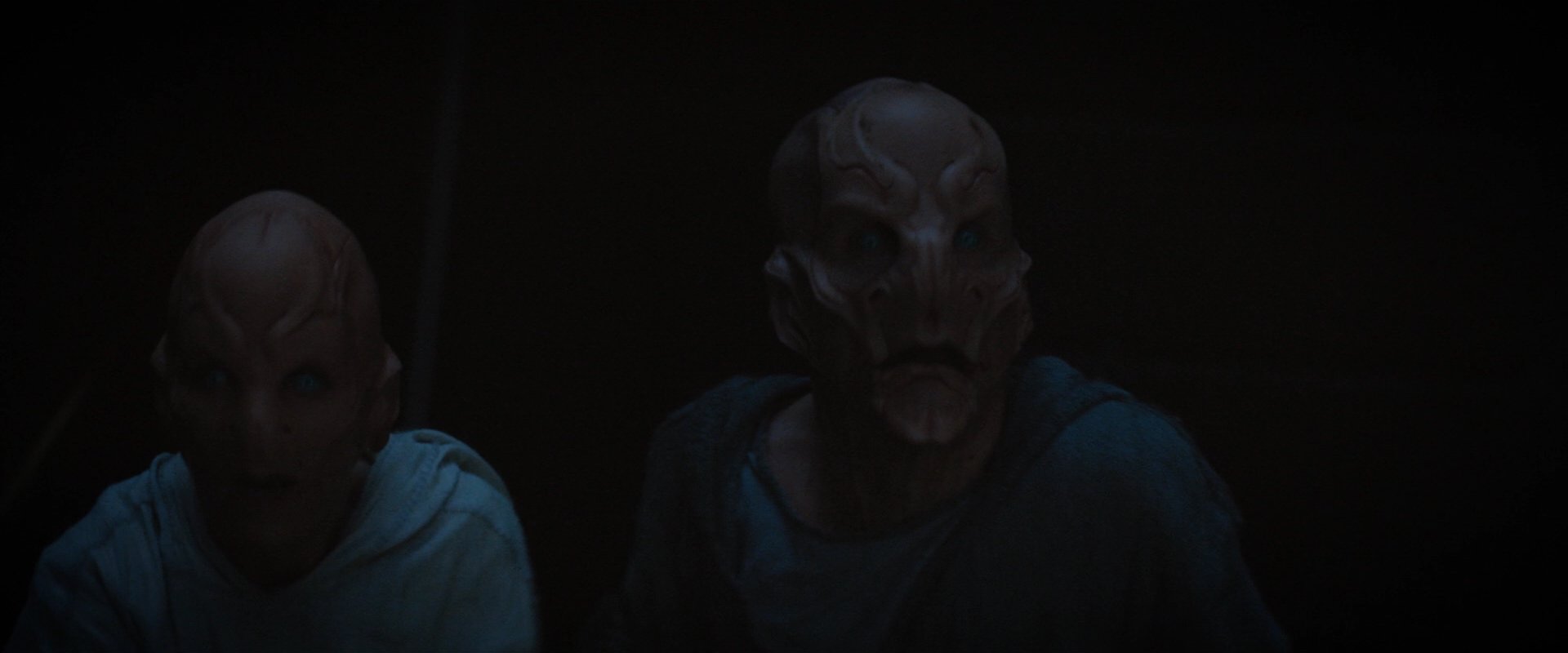 extant_StarTrekDiscovery_2x06-TheSoundsOfThunder_05678.jpg