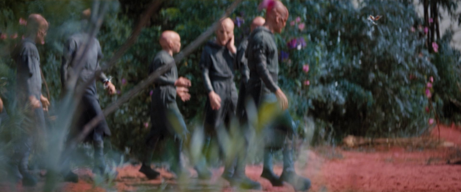 extant_StarTrekDiscovery_2x06-TheSoundsOfThunder_05719.jpg