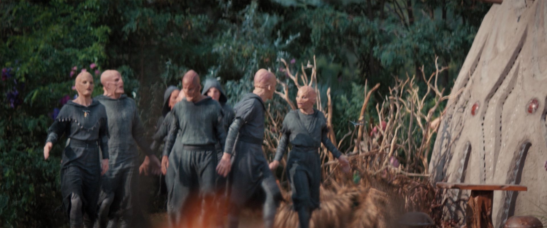 extant_StarTrekDiscovery_2x06-TheSoundsOfThunder_05722.jpg
