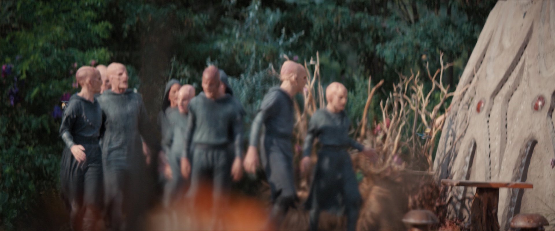 extant_StarTrekDiscovery_2x06-TheSoundsOfThunder_05723.jpg