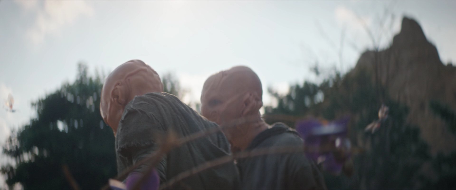 extant_StarTrekDiscovery_2x06-TheSoundsOfThunder_05742.jpg
