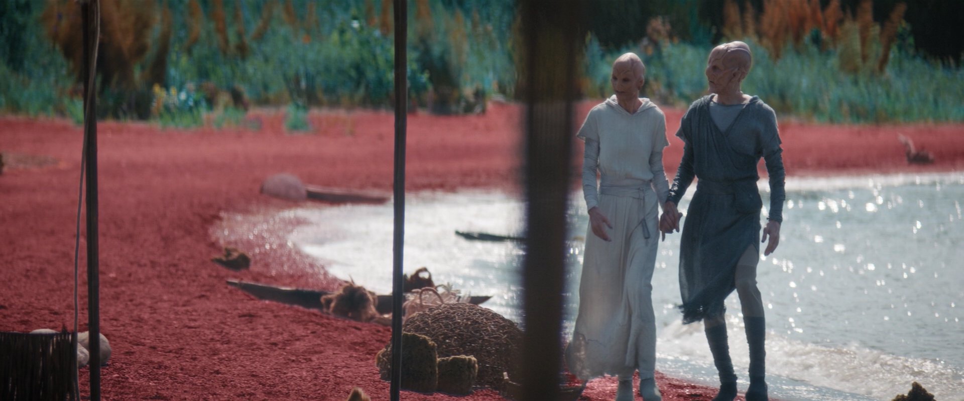 extant_StarTrekDiscovery_2x06-TheSoundsOfThunder_05766.jpg