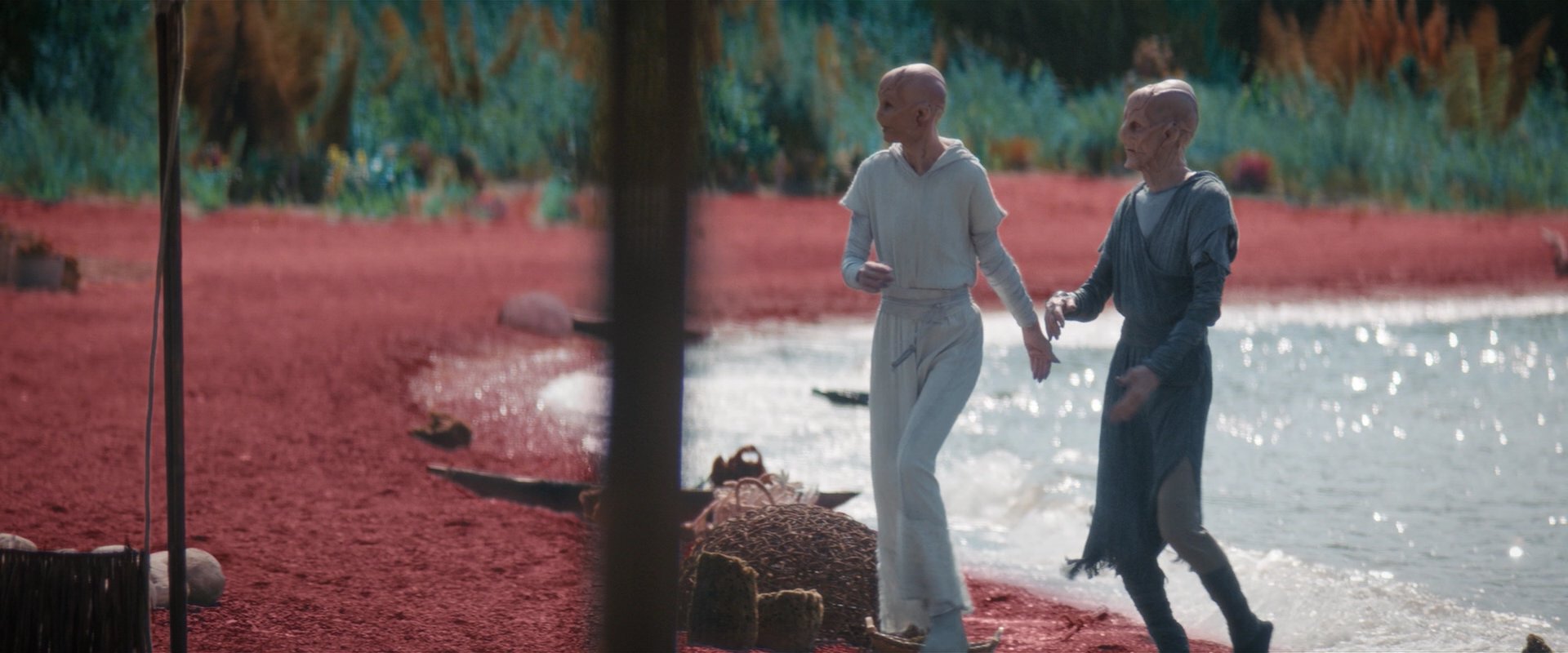 extant_StarTrekDiscovery_2x06-TheSoundsOfThunder_05772.jpg