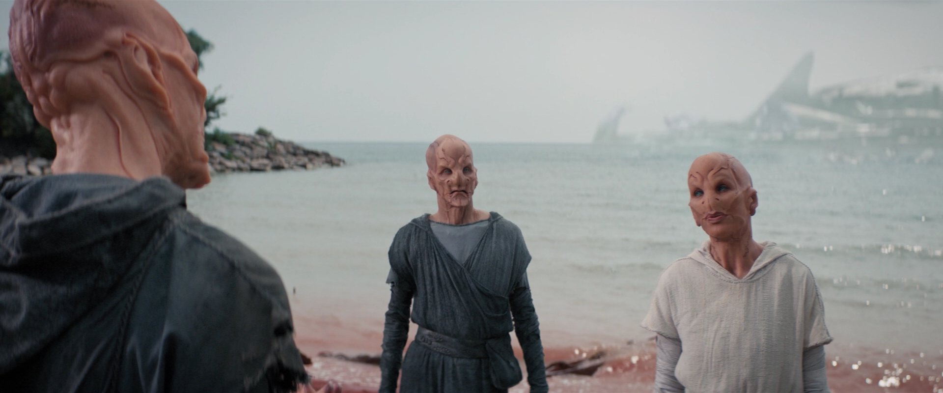 extant_StarTrekDiscovery_2x06-TheSoundsOfThunder_05794.jpg