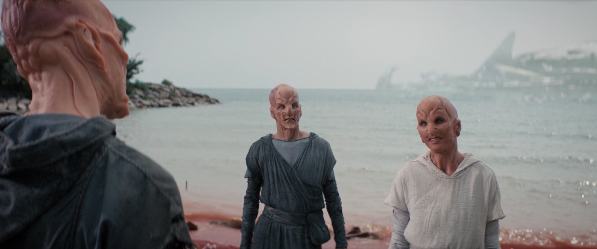 extant_StarTrekDiscovery_2x06-TheSoundsOfThunder_05795.jpg